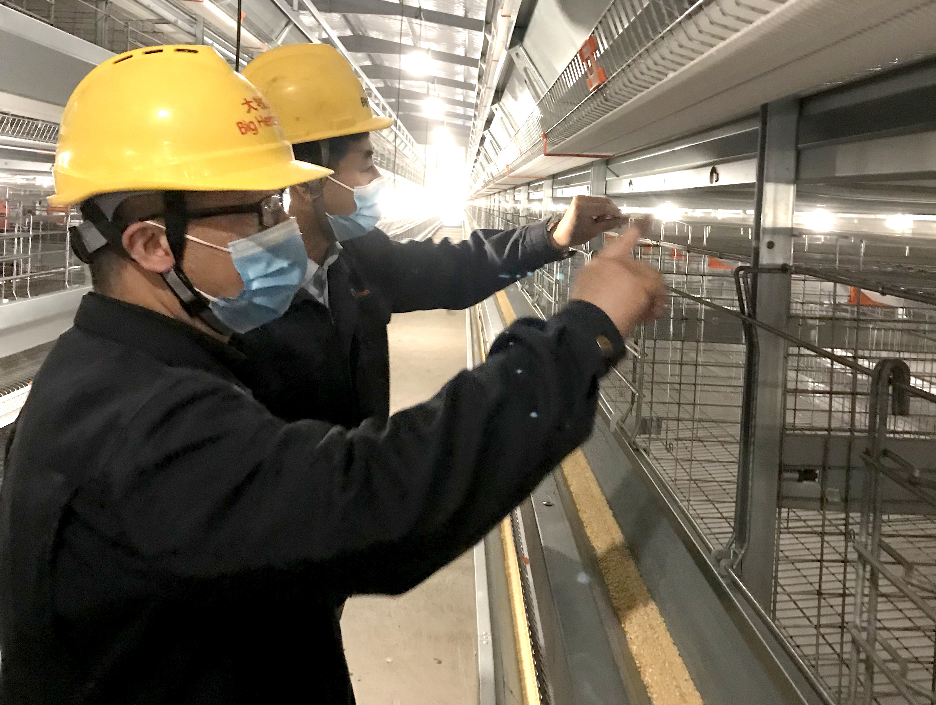 把关护航，客户无忧——记逐梦国际项目稽查部
