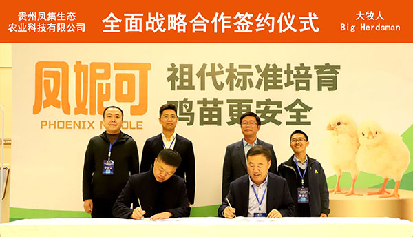 逐梦国际出席中国蛋鸡行业研讨峰会，并与凤集生态农业签订战略合作协议