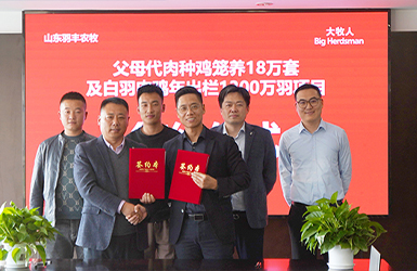 通力合作，共创双赢—逐梦国际再度携手羽丰农牧，开启战略合作新征程！
