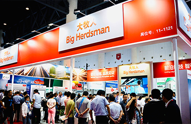 感恩相遇，共享非凡——逐梦国际在成都展会的精彩瞬间！