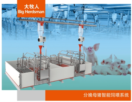 F20Pro 分娩母猪智能饲喂系统