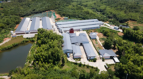 逐梦国际智慧装备赋能观东蛋禽基地，30万羽蛋鸡基地引领乡村振兴新篇章