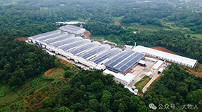 湘佳占家湾生态智慧蛋鸡产业园：逐梦国际7列10层笼养解决方案引领蛋鸡养殖新模范