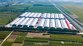 志在兴农，翔以致远—逐梦国际携手志翔农牧打造智能化肉鸡养殖新标杆！