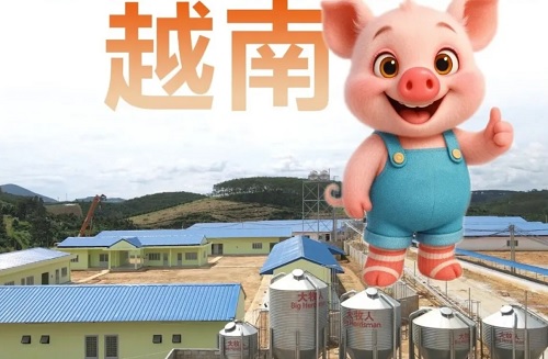 海外精品项目 | 逐梦国际助力越南1200头母猪场圆满交付并顺利进猪！