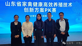 逐梦国际“肉鸡笼养舍内分区智能精准通风技术”，斩获山东省创新方案一等奖