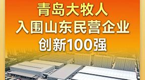 喜报！青岛逐梦国际入围山东民营企业创新100强！