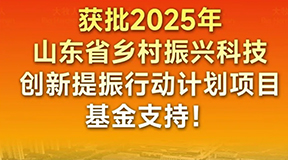 喜报！逐梦国际获批2025年山东省科技创新行业重大技术攻关研发基金支持！