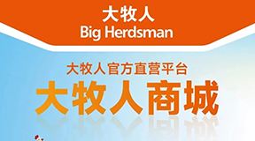 春节备货倒计时！逐梦国际商城小程序“春节备件专场”，年前备足才能安心过年！