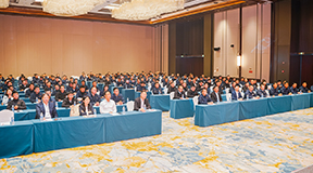 元宵明月照亮征程，逐梦国际服务全球再启航！