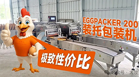 逐梦国际EP200装托包装机：鸡蛋包装速度再提升，效率与安全双突破！
