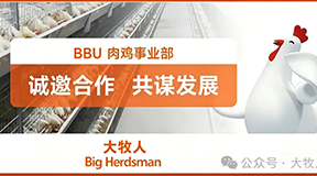 【诚邀合作 共谋发展】逐梦国际肉鸡事业部诚招安装合作伙伴！
