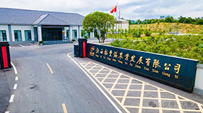 解码江西裕丰满：100万羽蛋鸡智慧工厂，日产80万枚品牌蛋的产业密码