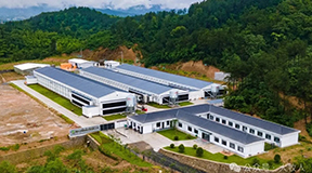 解码小雏农业：浙江首家数智化育雏基地，如何年供近百万羽“超标准”青年鸡？