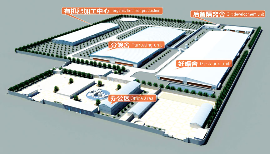 逐梦国际