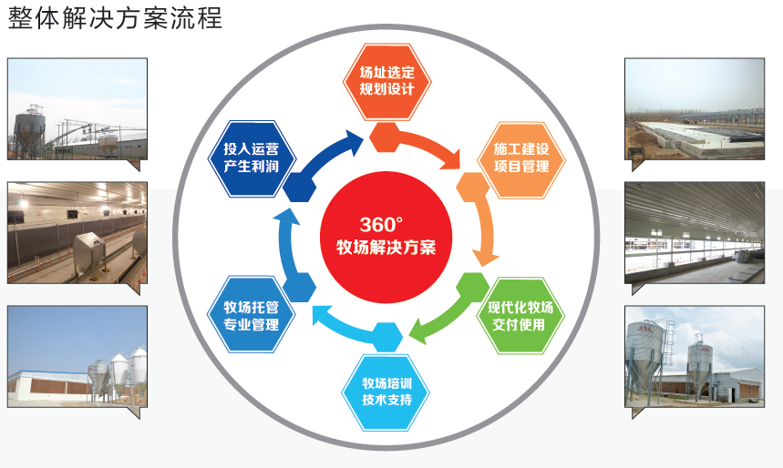 逐梦国际