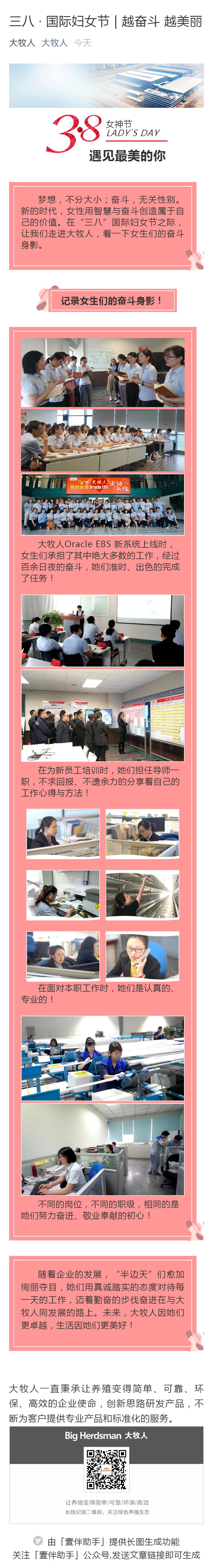 逐梦国际