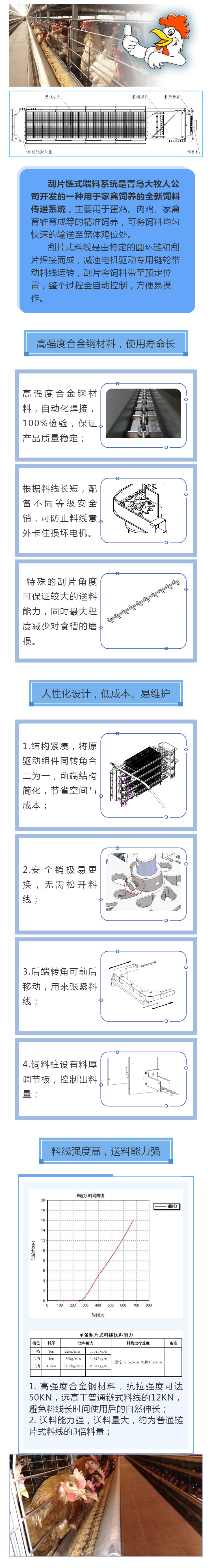 逐梦国际