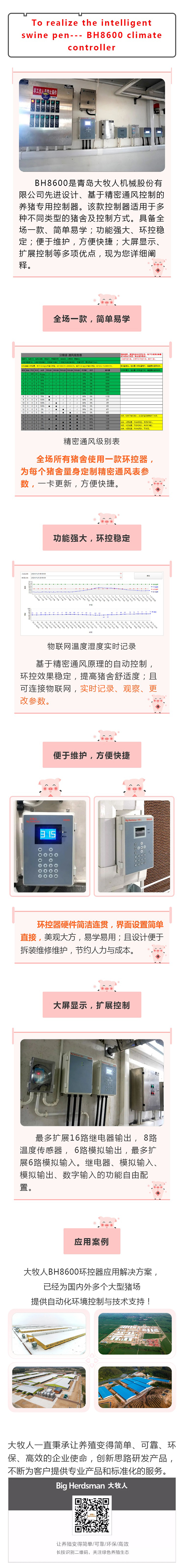 逐梦国际