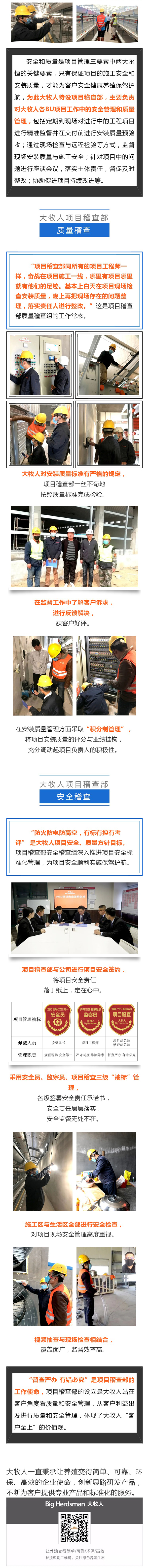 逐梦国际