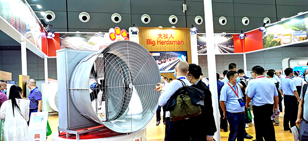 逐梦国际