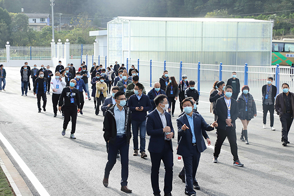 逐梦国际