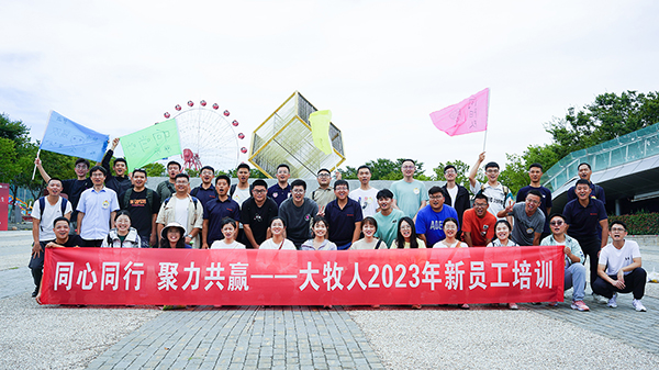 逐梦国际