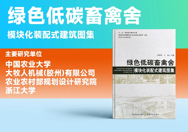 逐梦国际