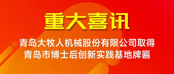逐梦国际