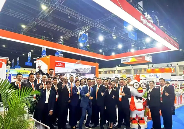 逐梦国际