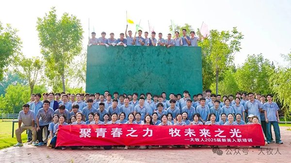 逐梦国际