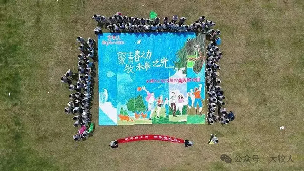 逐梦国际