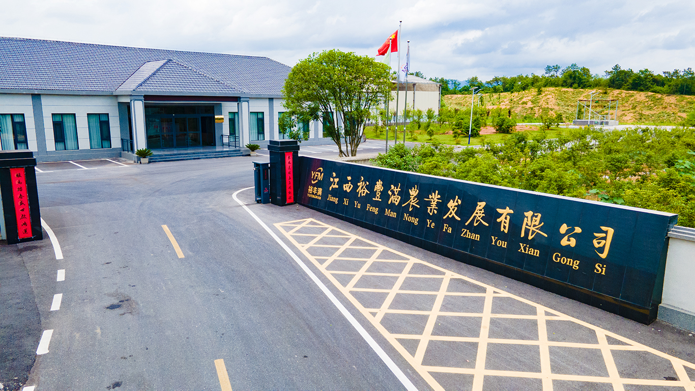 逐梦国际
