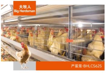 逐梦国际BH625标准产蛋笼